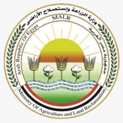 شركاء النجاح (13)