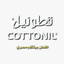 شركاء النجاح (22)